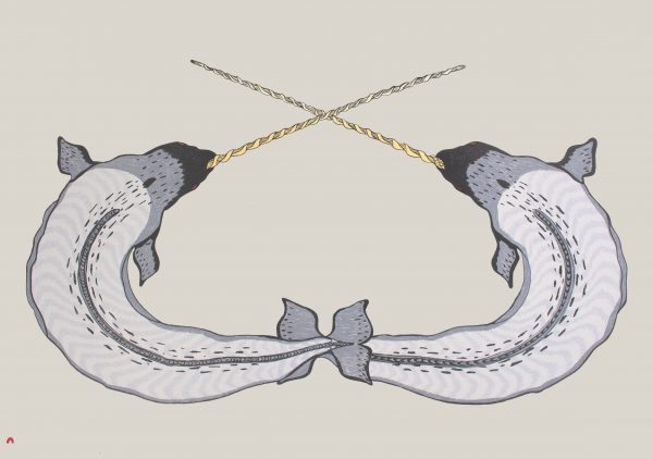 Sparring Narwhals