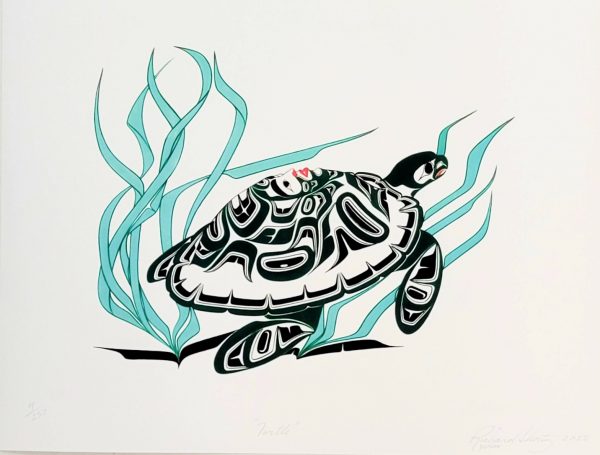 Turtle 55638