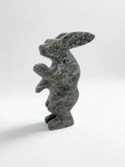 Arctic Hare
