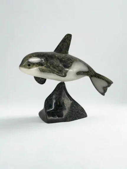 Killer Whale