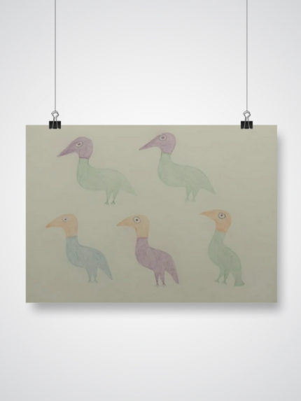 Birds
