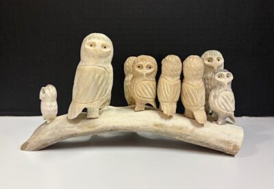 Family of owls