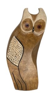 Eyes of the Night Owl