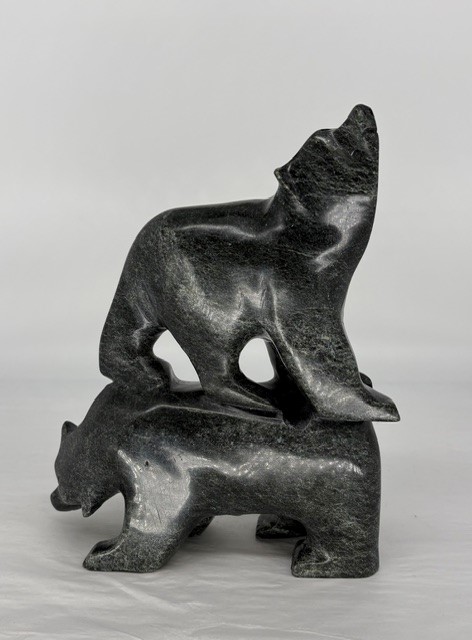 67898 Two Bears