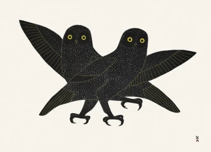 IJINGI QAUMAJUUK (BRIGHT EYES)