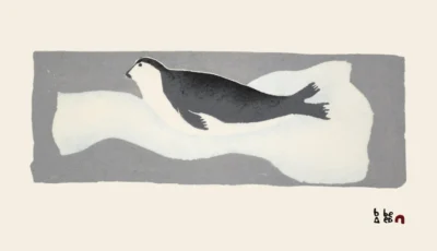 TIRILLU (YOUNG BEARDED SEAL)