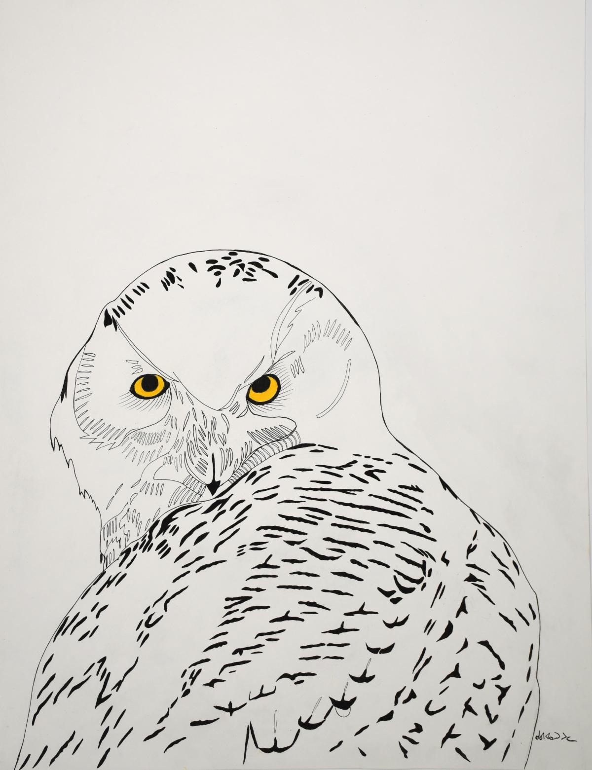 220-0477_Untitled (Snowy Owl )_68412